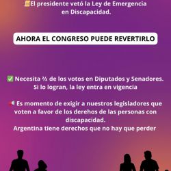 Discapacidad en Emergencia: No al Veto