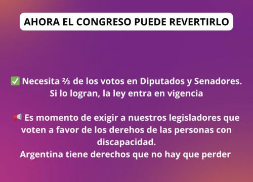 Discapacidad en Emergencia: No al Veto
